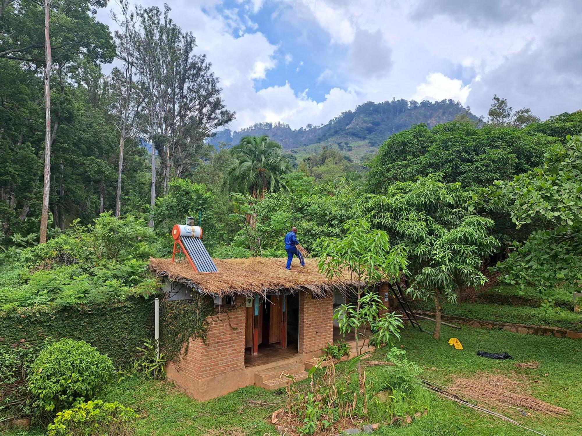 Blend Lodge And Kitchen - Pakachere ゾンバ エクステリア 写真